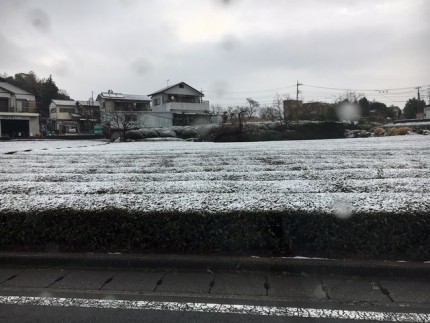 雪だ (2)