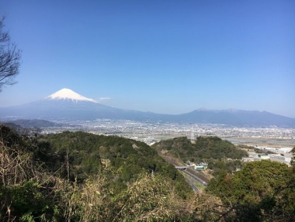 桜と富士山 (10)
