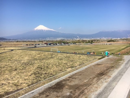 桜と富士山 (8)