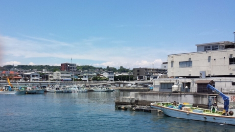 小田原漁港　海釣りを楽しむ (2)