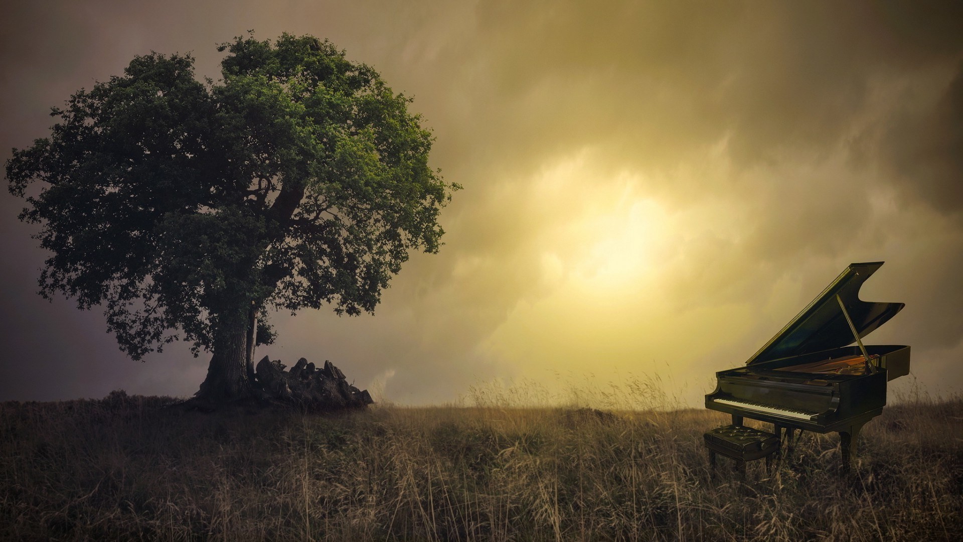 325613-nature-trees-branch-leaves-photo_manipulation-piano-field-Sun-clouds-grass-chair.jpg