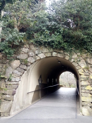 金沢文庫　トンネル