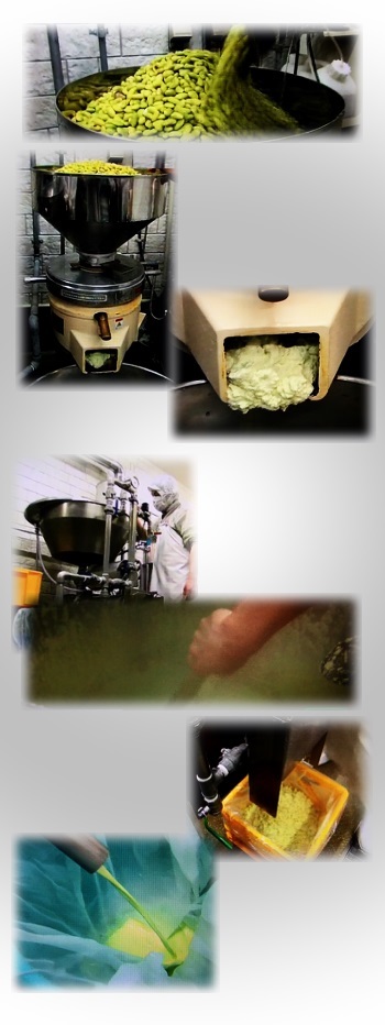 豆腐の製造過程