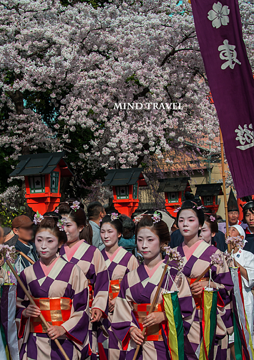 平野神社　桜祭神幸祭　市松模様の着物
