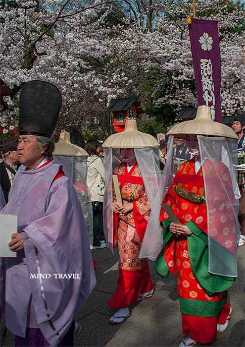 平野神社　桜祭神幸祭　壺装束