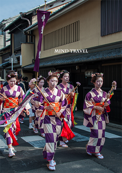 平野神社　桜祭神幸祭　市松模様の着物2