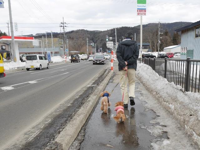 歩道はまだ雪が溶けて＞＜