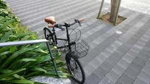 沖縄自転車