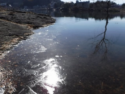 20180303-7-河口湖ロイヤル薄氷.JPG