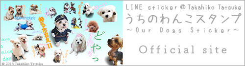 https://blog-imgs-120-origin.fc2.com/t/a/t/tatsuke/banner_180330a.jpg